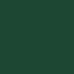 Railroad Color Acrylic Paints - 1oz 29.6mL -- Southern Railway Green, All Scales, Tru-Color Paint 128
