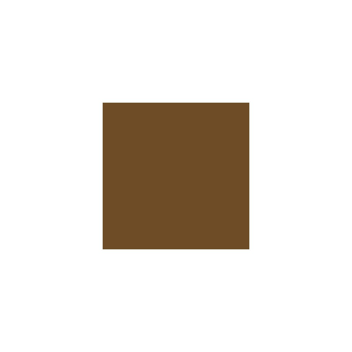 Railroad Color Acrylic Paints - 2oz 59.1mL -- Seasoned Brown Wood, All Scales, Tru-Color Paint 2349