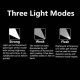 Ultraviolet Light Torch -- 365nm Wavelength UV Light, All Scales, DSPIAE UVT