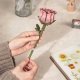 Pink Rose - Laser-Cut Wood Kit -- 3D Wooden Puzzle, All Scales, Robotime TW041