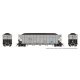 AutoFlood III Rapid Discharge Coal Hopper w/Load 6-Pack - Ready to Run -- Duke Power DKPX Set, HO, Rapido Trains Inc 169046