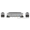 AutoFlood III Rapid Discharge Coal Hopper w/Load 6-Pack - Ready to Run -- Duke Power DKPX Set, HO, Rapido Trains Inc 169046