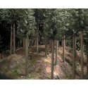 Ground Cover - 300ml Package -- Coniferous (Pine) Forest, HO, Busch Gmbh & Co Kg 7529