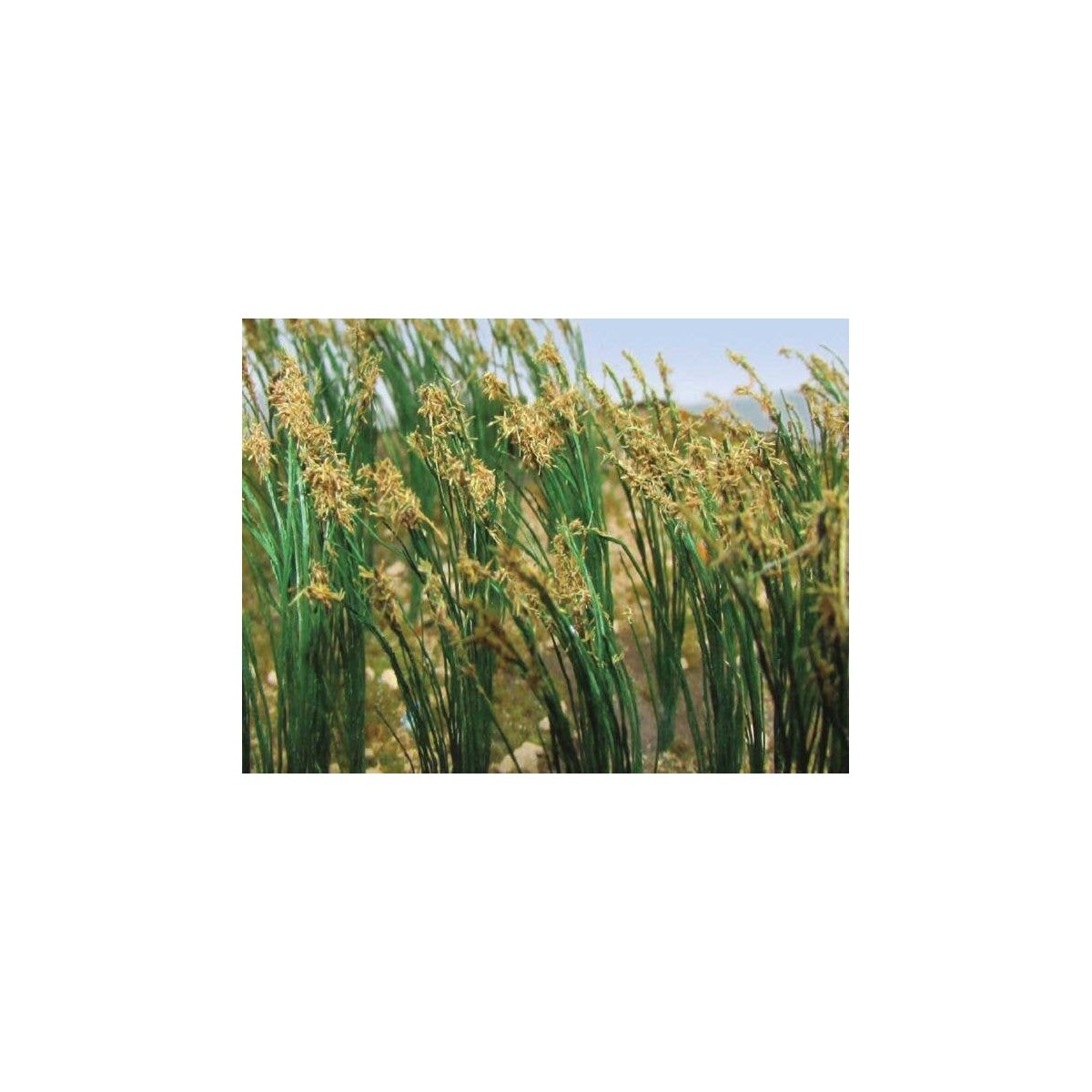 Reeds pkg(40) -- Height: 1′ 2.5cm, HO, Bachmann Industries 32514