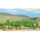 Potato Plants -- Kit pkg(30), HO, Busch Gmbh & Co Kg 1266
