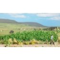 Potato Plants -- Kit pkg(30), HO, Busch Gmbh & Co Kg 1266