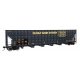 73′ Greenville 7,000 Cubic Foot Wood Chip Hopper - Ready to Run -- CSX 434198 (Patched Family L, HO, WalthersMainline 56377