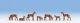 Roe Deer pkg(7), HO, Noch Gmbh & Co 15740