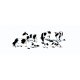 Scenic Accents(R) Animal Figures -- Holstein Cows pkg(7), O, Woodland Scenics 2724