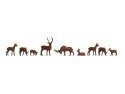 Deer -- pkg(9), N, NOCH 38211