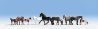 Horses -- pkg(9), HO, Noch Gmbh & Co 15761