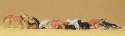 Cats & Dogs -- Assorted pkg(12), HO, Preiser Kg 14165