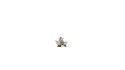 Woman Bathing Child in Tub - Color 3D Print, HO, Noch Gmbh & Co 10421