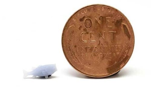 Fish -- Unpainted 3D Printed Figures pkg(5), HO, All Scale Miniatures 870984