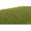 Static Grass - Field System - 1/8′ 4mm Fibers -- Medium Green, All Scales, Woodland Scenics 618
