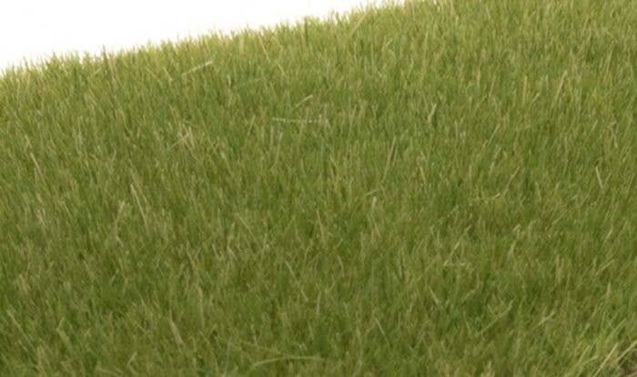 Static Grass - Field System - 1/8′ 4mm Fibers -- Medium Green, All Scales, Woodland Scenics 618