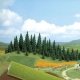 Grass Mat -- Spring Green 39-3/8 x 98-7/16′ 100 x 250cm, All Scales, Busch Gmbh & Co Kg 7281
