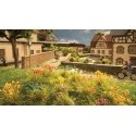 Flowers /250, HO, Noch Gmbh & Co 6800