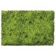 Flock & Turf - Scenic Foams & Ground Textures - Blended Tones - 64 Ounces -- Scrub Lawn Bl, All Scales, Scenic Express 882C