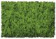 Flock & Turf - Scenic Foams & Ground Textures - Green Tones - 64 Ounces -- Spring Green - , All Scales, Scenic Express 811C