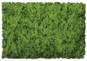 Flock & Turf - Scenic Foams & Ground Textures - Green Tones - 64 Ounces -- Spring Green - , All Scales, Scenic Express 811C
