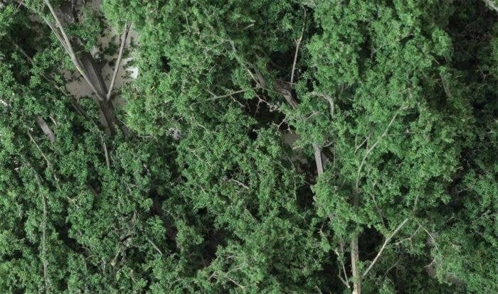 Fine Leaf Foliage(TM) - 75 Cu. In. 1.2 Cu. m. -- Dark Green, All Scales, Woodland Scenics 1130