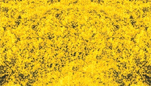 Decograss(R) Pad 11 x 5-1/2′ 28 x 14cm -- Goldenrod, All Scales, Heki/Mini Forest 1589