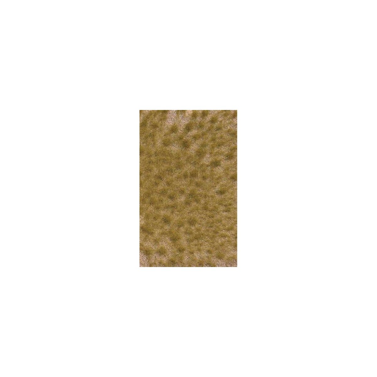 Grass Tuft Sheet -- Long Fall Tufts 3/16` .4cm Tall, 5-7/16 x 3-7/16` 13.8 x 8.8cm, All Scales, Busch Gmbh & Co Kg 3519