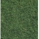 Wild Grass - 1-3/4oz 50g -- Light Green, All Scales, Noch Gmbh & Co 7102