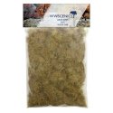 Static Grass 1/4′ 6mm -- Dead 1.8oz 50g, All Scales, Peco WSG6048