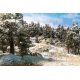 Soft Flake Snow(TM) Shaker -- 32oz 946mL, All Scales, Woodland Scenics 140