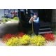 Grass Tufts - SceneScapes(R) -- Yellow, Red 3/8′ 1cm Tall Fibers pkg(50), All Scales, Bachmann Industries 31045