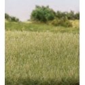 Static Grass - 5/32′ 4mm Tall - All Game Terrain -- Light Green, All Scales, Woodland Scenics 6571