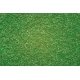 Scatter Material - 1-1/2oz 42g -- Light Green, All Scales, Noch Gmbh & Co 8410