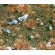 Premium Countryside Segment -- Forest Floor 8-1/4 x 5-7/8 x 3/8′ 21 x 14.8 x 1cm, All Scales, Faller Gmbh 180475