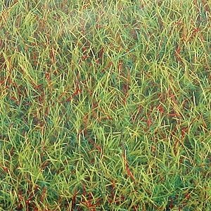 Large Grass Mat - 39-3/8 x 31-1/2′ 100 x 80cm -- Spring, All Scales, Busch Gmbh & Co Kg 7221