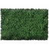 Flock & Turf - Scenic Foams & Ground Textures - Green Tones - 32 Ounces -- Grass Green - C, All Scales, Scenic Express 806B