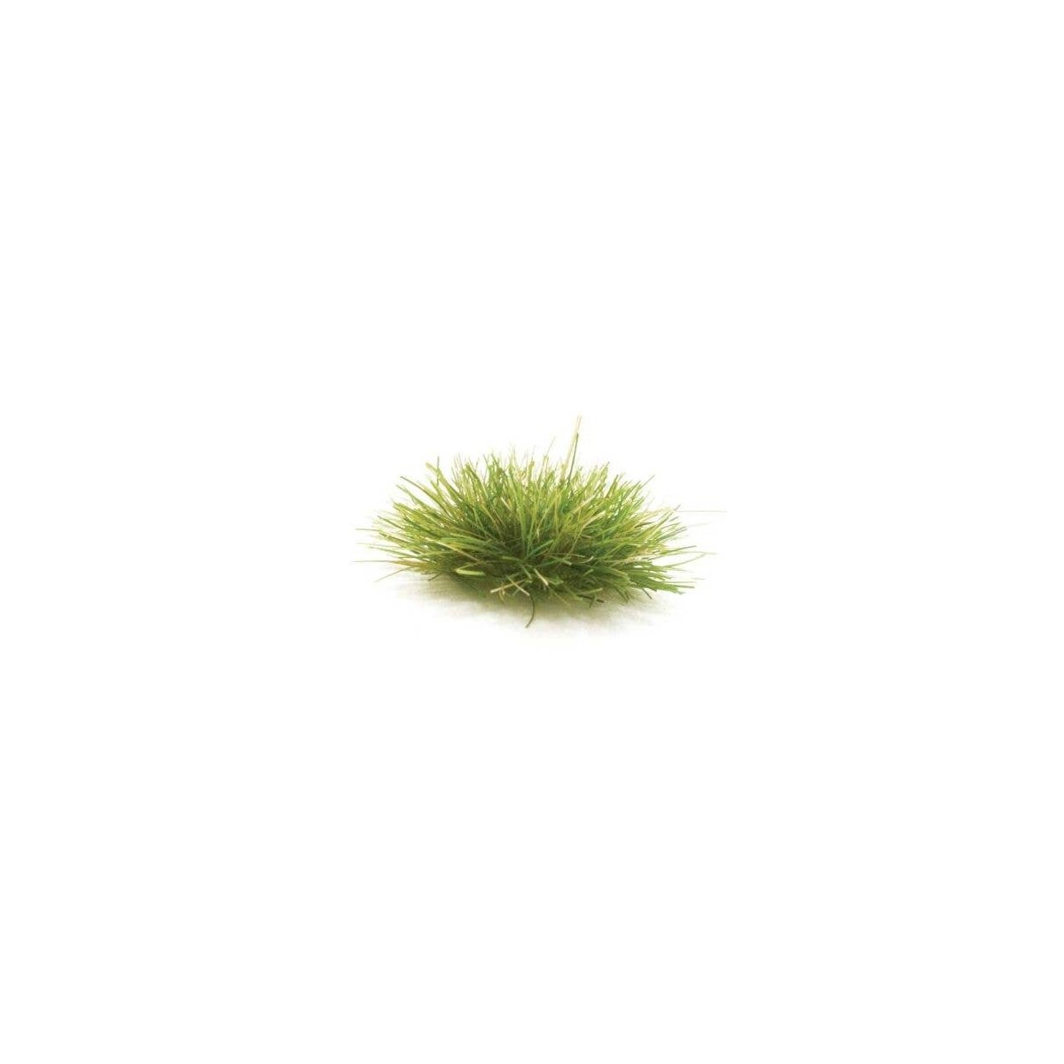 Peel `n` Plant Tufts - All Game Terrain -- Dark Green, All Scales, Woodland Scenics 6627