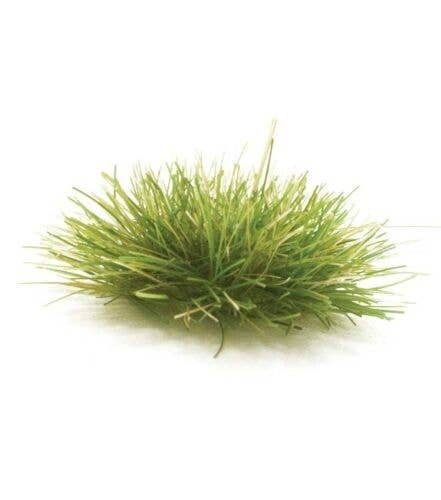 Peel `n` Plant Tufts - All Game Terrain -- Dark Green, All Scales, Woodland Scenics 6627