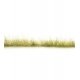 Peel `n` Plant Tufts - All Game Terrain -- Light Green Edging, All Scales, Woodland Scenics 6644