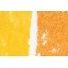 Foliage - 90.7 Square Inches 585 Square cm -- Early Fall Colors, All Scales, Woodland Scenics 55