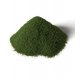 Grass - All Game Terrain -- Spring, All Scales, Woodland Scenics 6436
