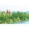 Cattails -- Kit pkg(60), HO, Walthers SceneMaster 4179