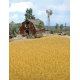Harvest Corn Field -- Brown, HO, Walthers SceneMaster 1141