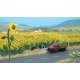 Sunflower Field -- Kit pkg(60), HO, Walthers SceneMaster 1119
