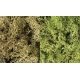 Lichen - 48oz 2.84L -- Light Green Mix, All Scales, Woodland Scenics 167