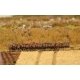 Premium Hedge -- Red Blossoms 2-1/2 x 9/16 x 1/2′ 10 x 1.5 x 1.2cm, All Scales, Faller Gmbh 181235