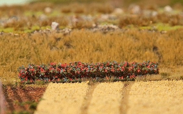 Premium Hedge -- Red Blossoms 2-1/2 x 9/16 x 1/2′ 10 x 1.5 x 1.2cm, All Scales, Faller Gmbh 181235