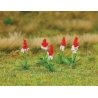 Orchid Primroses -- pkg(32), HO, Faller Gmbh 181267