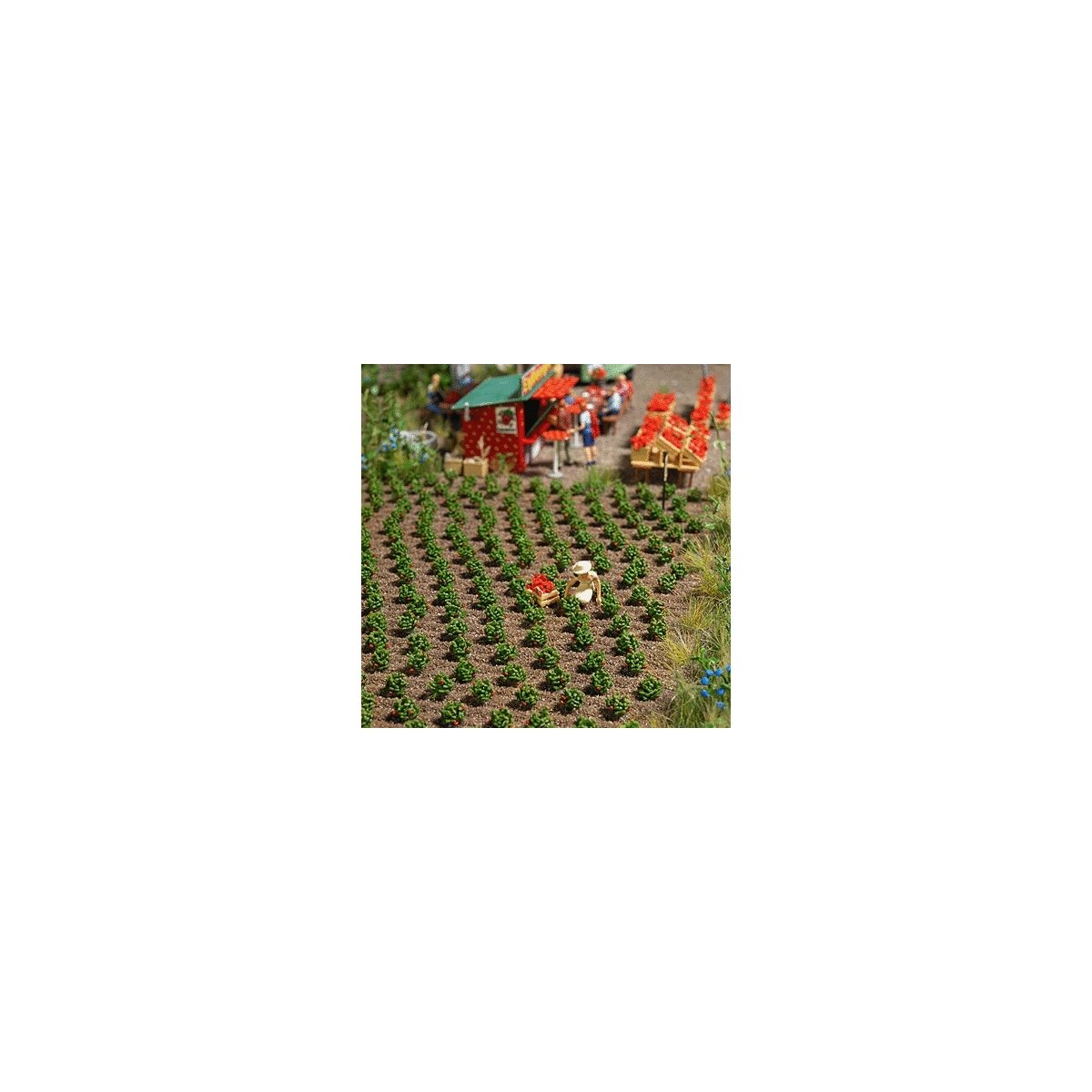 Strawberry Plants -- Kit pkg(40), HO, Busch Gmbh & Co Kg 1265